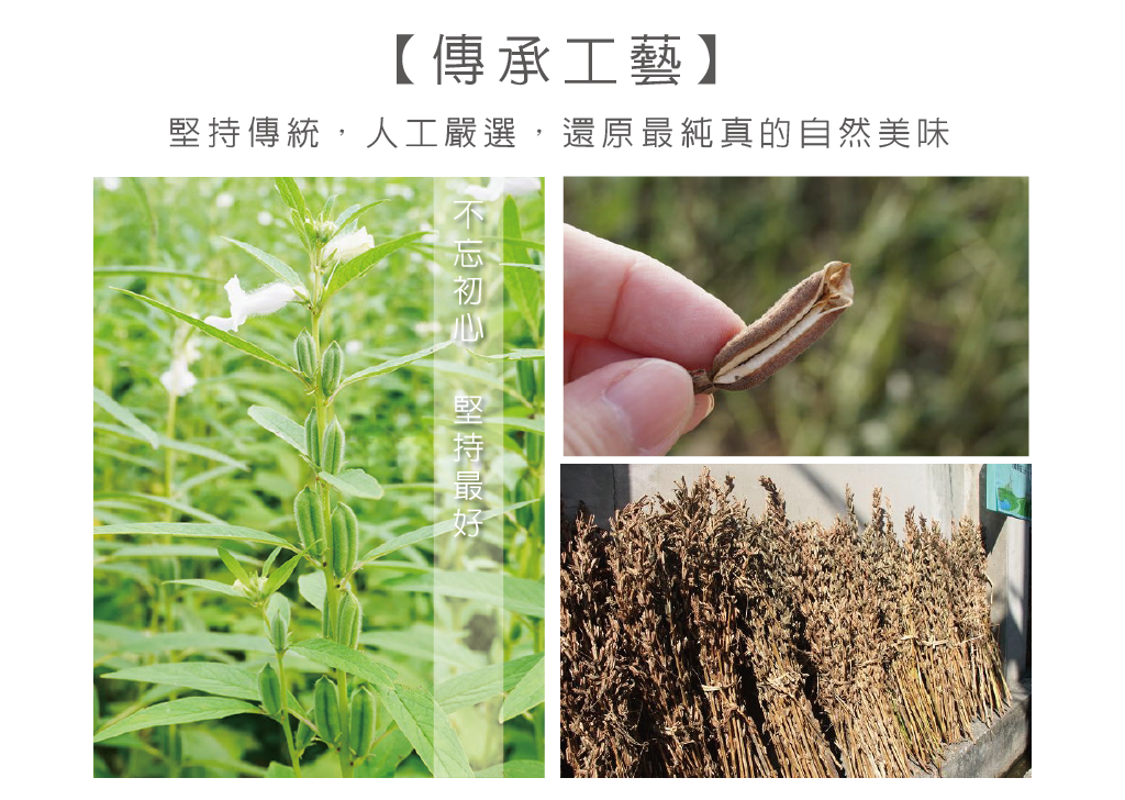 我愛簡單購 IEasyShopping 御麻元特選XO麻油