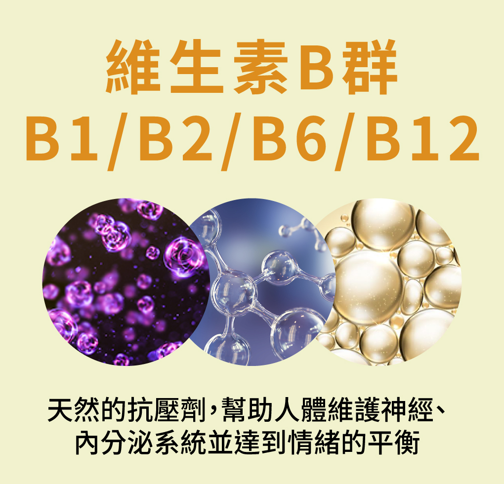 我愛簡單購 IEasyShopping 【達特漢司】疼愛家人綜合維他命補養液(10送3)