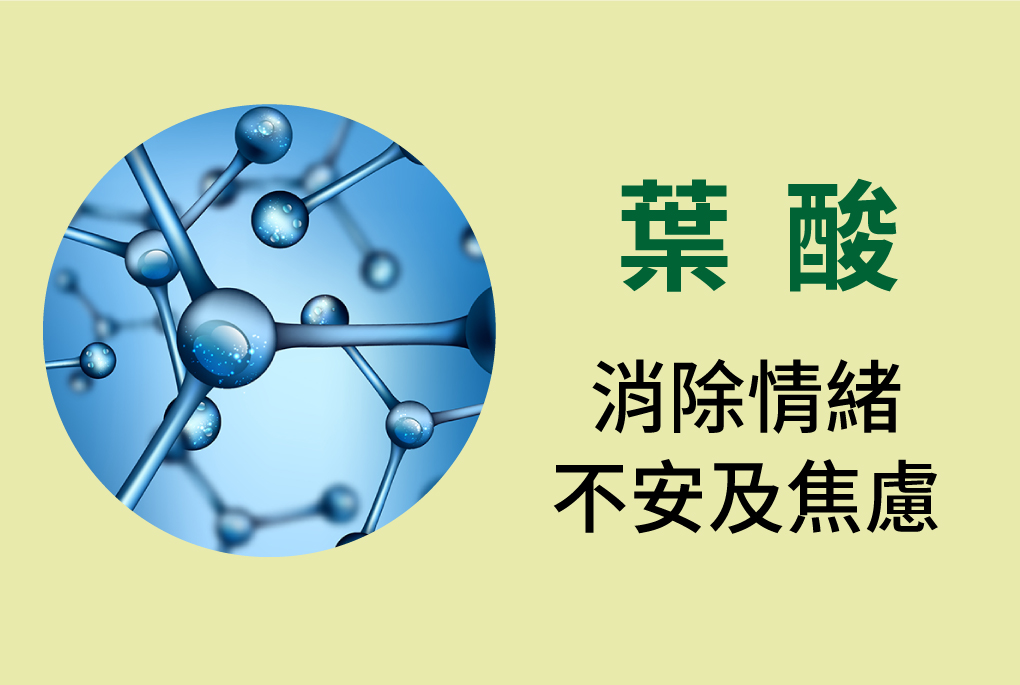 我愛簡單購 IEasyShopping 【達特漢司】疼愛家人綜合維他命補養液(10送3)