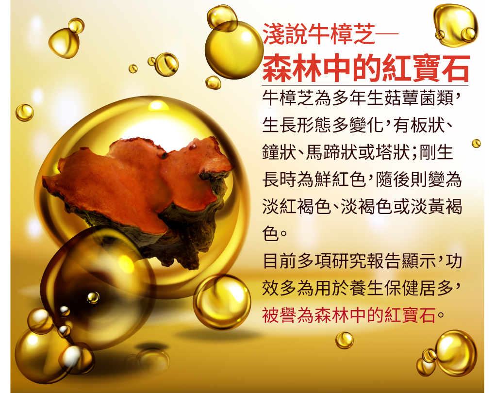 我愛簡單購 IEasyShopping 【歐萃OTREE】增益康牛樟芝菌絲體膠囊