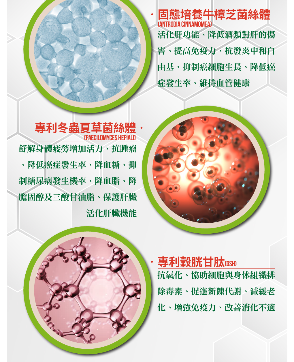 我愛簡單購 IEasyShopping 【歐萃OTREE】增益康牛樟芝菌絲體膠囊
