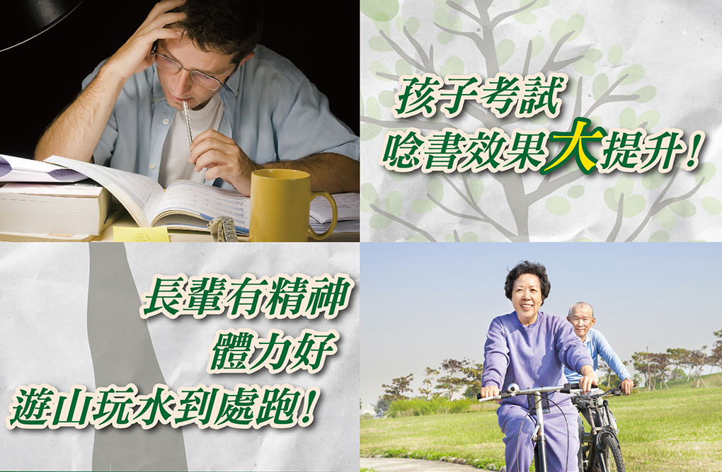 我愛簡單購 IEasyShopping 【達特漢司】冬蟲夏草菌絲體膠囊