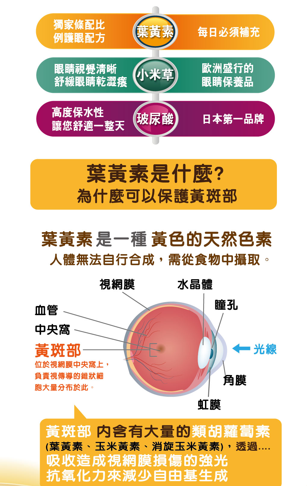 我愛簡單購 IEasyShopping 【達特漢司】速視清葉黃素膠囊