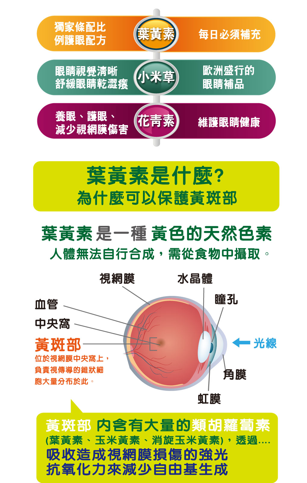 我愛簡單購 IEasyShopping 【達特漢司】速視清補養液(葉黃素)