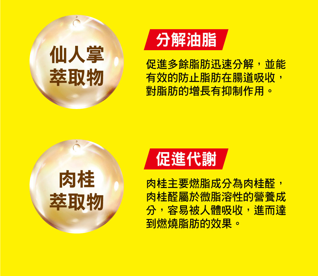 我愛簡單購 IEasyShopping 【歐萃OTREE】爆纖速窈精華(12盒)